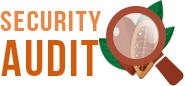 Audit